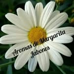 Foto de perfil de @julia_aromasdemargarita en Instagram