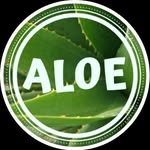 Foto de perfil de @aloevzla en Instagram