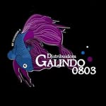 Foto de perfil de @galindodistribuidora en Instagram