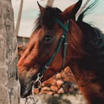 Foto de perfil de @aventura0295 en Instagram