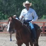 Foto de perfil de @caballosdelcaribe en Instagram