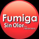 Foto de perfil de @fumigasinolor en Instagram