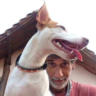 Foto de perfil de @flacosho en Instagram