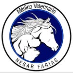 Foto de perfil de @negarfarias.vet en Instagram