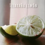 Foto de perfil de @telaranalimon.zone en Instagram