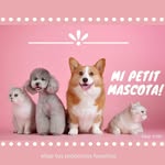 Foto de perfil de @mipetitmascota en Instagram