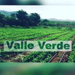 Foto de perfil de @cosechas_valleverde en Instagram