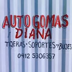 Foto de perfil de @autogomas.diana en Instagram