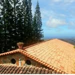 Foto de perfil de @elparaisorest en Instagram