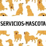 Foto de perfil de @serviciosmascota en Instagram