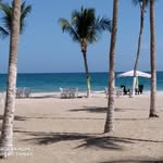 Foto de perfil de @papaitobeach en Instagram