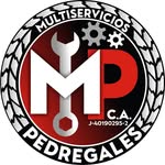Foto de perfil de @multiserviciospedregales en Instagram