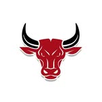 Foto de perfil de @bodegonelgrandtoro_jr en Instagram