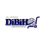Foto de perfil de @dibiho en Instagram