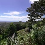 Foto de perfil de @saboresdealturaarismendi en Instagram